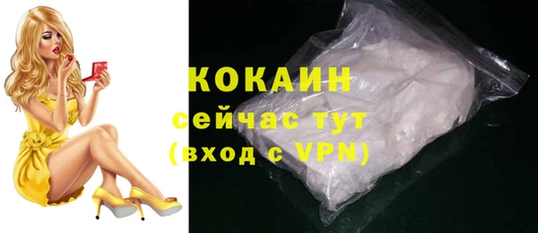 дживик Абаза