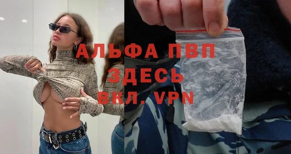 дживик Абаза