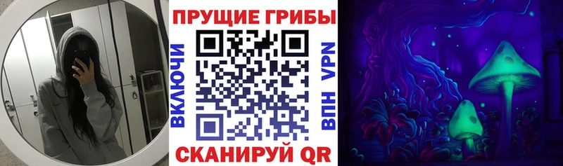 Псилоцибиновые грибы ЛСД  купить наркоту  сайты даркнета официальный сайт  Шилка 